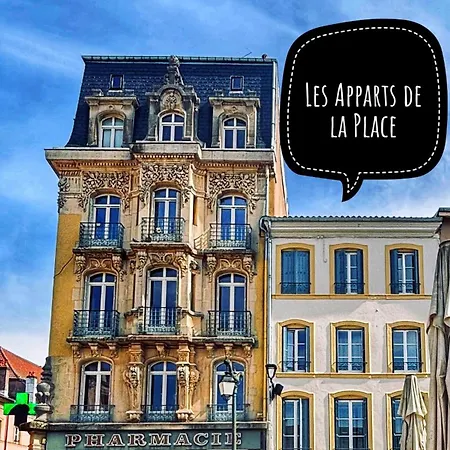 Le Jardin Japonais Avec Terrasse * Épinal
