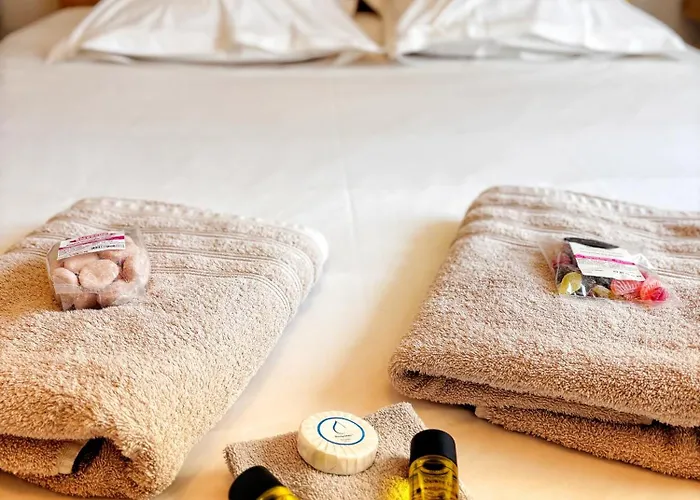 Le Jardin Japonais Avec Terrasse Daire